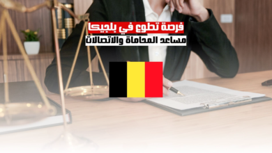 فرصة تطوع في بلجيكا: مساعد المحاماة والاتصالات